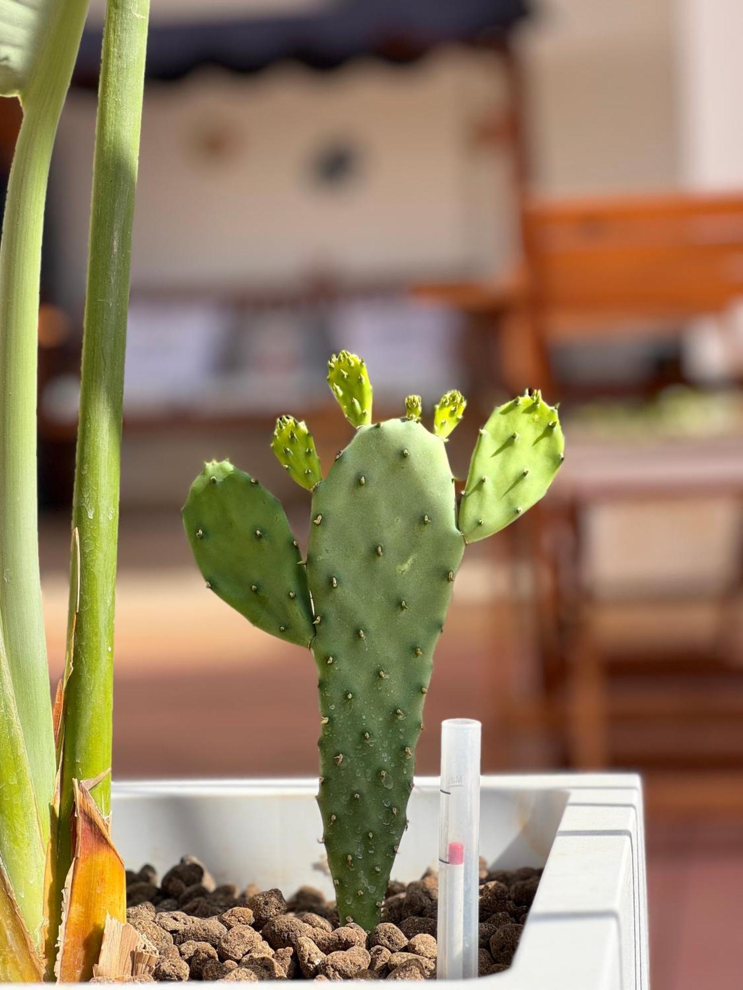 B&B Santa Maria Di Leuca Eksteriør billede